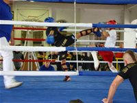 DSC00895