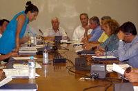 dim-sim_2010