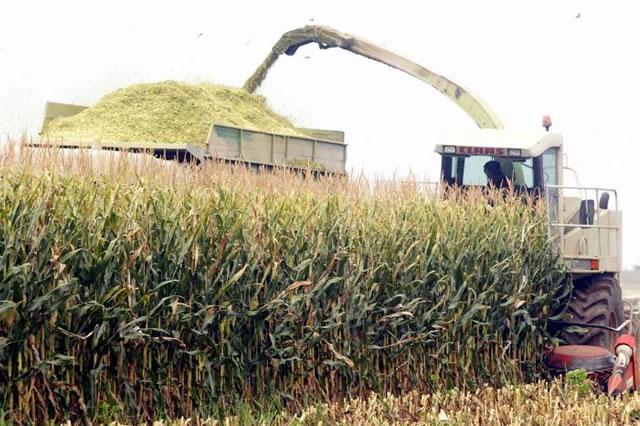 serreslife