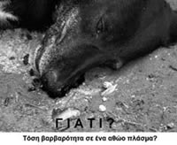 kataggelia