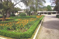 serreslife