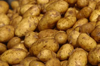 potatoes